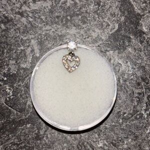 Surgical Steel Heart Earring